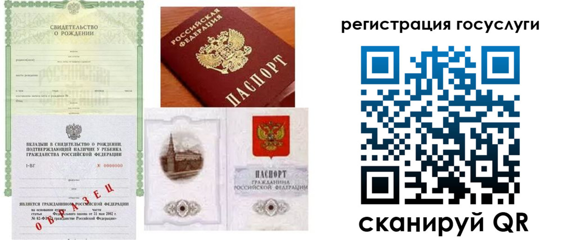 прописка паспорт в Ельне