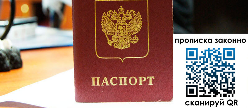 прописка в Ельне